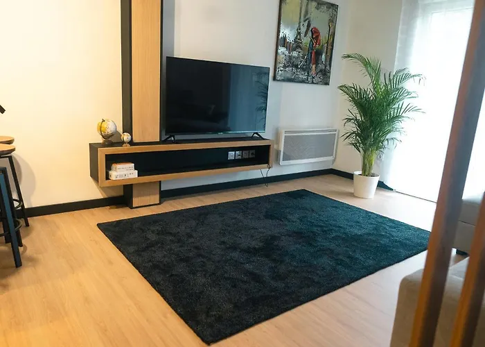 Appartement Neuf- Morangis-Orly